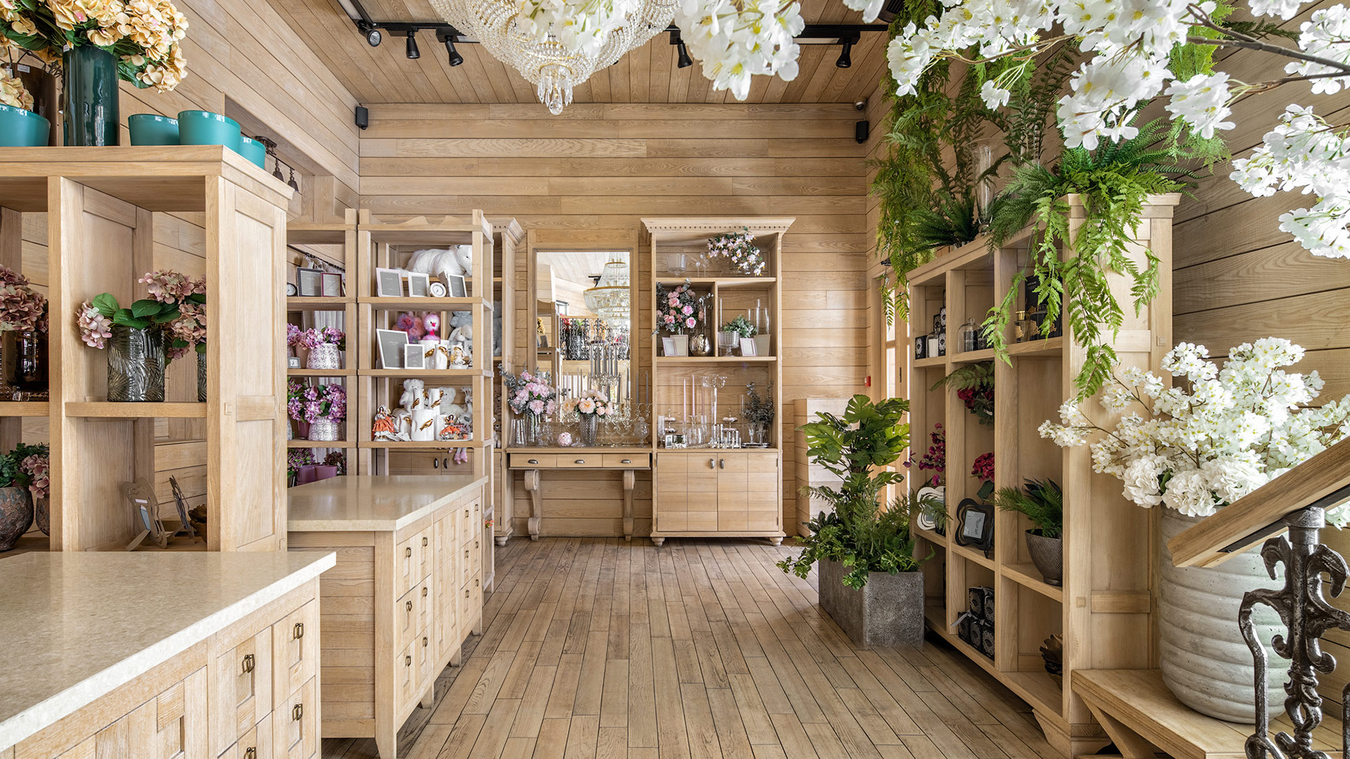 PAYCORS FLOWER SHOP - GREEN DELIGHTS: EXPLORING THE FLOURISHING WORLD OF POTTED PLANTS AT FLOWER SHOP